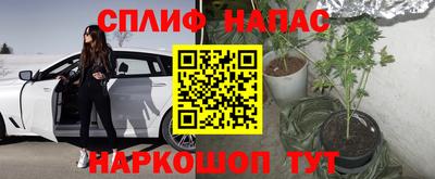 мдма Гудермес